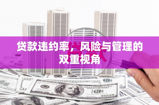 天水贷款违约率，风险与管理的双重视角