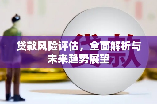 颍上贷款风险评估，全面解析与未来趋势展望