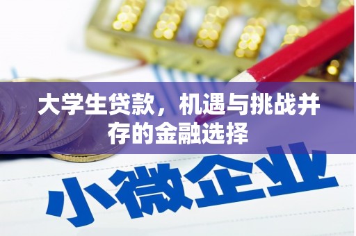 德令哈大学生贷款，机遇与挑战并存的金融选择