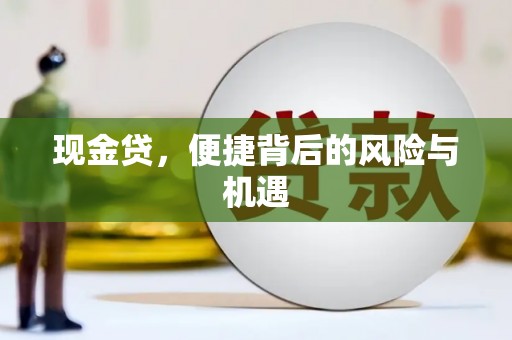 略阳现金贷，便捷背后的风险与机遇