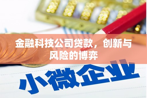 潼关金融科技公司贷款，创新与风险的博弈