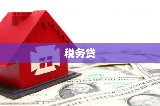 麻城税务贷