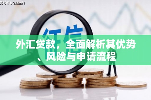坪山新区外汇贷款，全面解析其优势、风险与申请流程