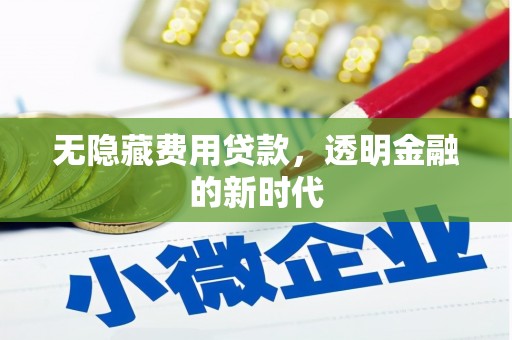 莱山无隐藏费用贷款，透明金融的新时代
