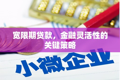 合川宽限期贷款，金融灵活性的关键策略