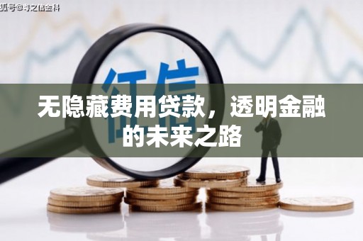 白银无隐藏费用贷款，透明金融的未来之路