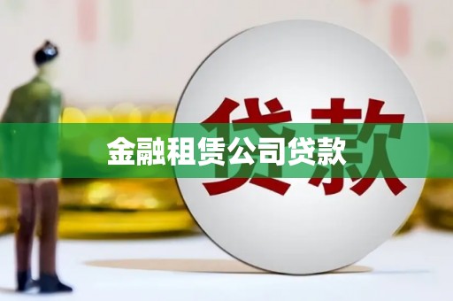 玄武金融租赁公司贷款