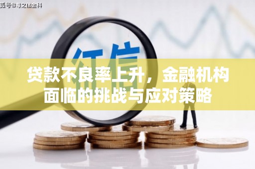 海陵贷款不良率上升，金融机构面临的挑战与应对策略