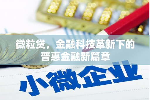 利辛微粒贷，金融科技革新下的普惠金融新篇章