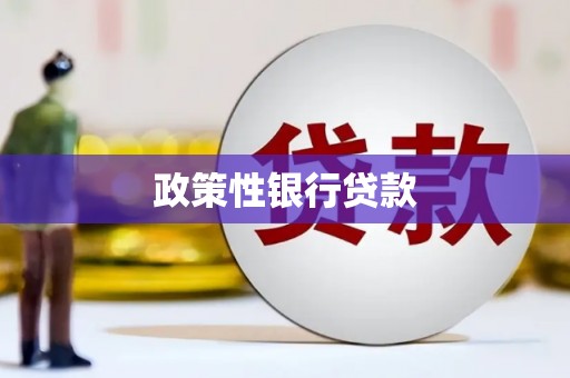 汉阳政策性银行贷款