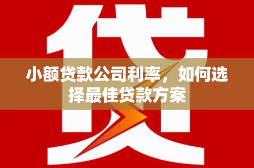 康保小额贷款公司利率，如何选择最佳贷款方案