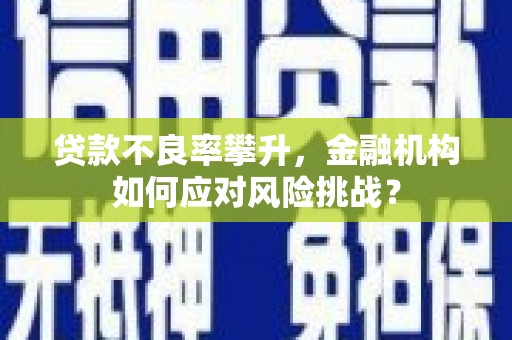 衡阳贷款不良率攀升，金融机构如何应对风险挑战？