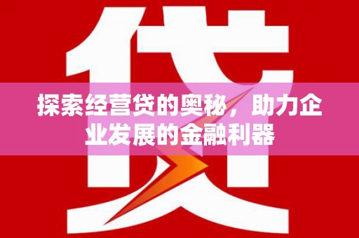 囊谦探索经营贷的奥秘，助力企业发展的金融利器
