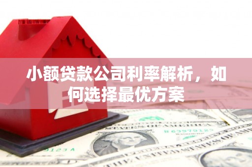 凉山小额贷款公司利率解析，如何选择最优方案