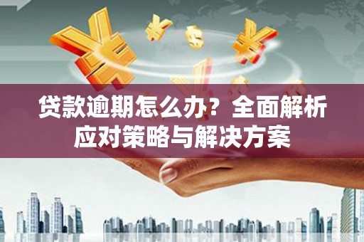 苓雅贷款逾期怎么办？全面解析应对策略与解决方案