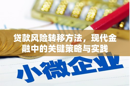 安定贷款风险转移方法，现代金融中的关键策略与实践