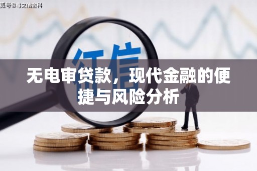 颍上无电审贷款，现代金融的便捷与风险分析