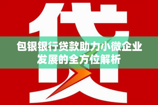 新界包银银行贷款助力小微企业发展的全方位解析 新界包银银行贷款助力小微企业发展的全方位解析