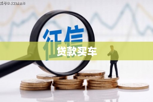 新都贷款买车