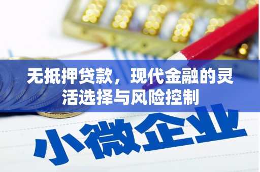 雄安新区无抵押贷款，现代金融的灵活选择与风险控制