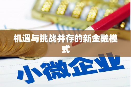高安机遇与挑战并存的新金融模式