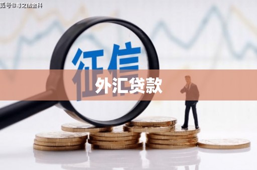 新营外汇贷款