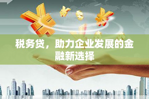雨花税务贷，助力企业发展的金融新选择