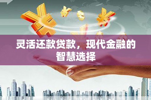 澳门半岛灵活还款贷款，现代金融的智慧选择