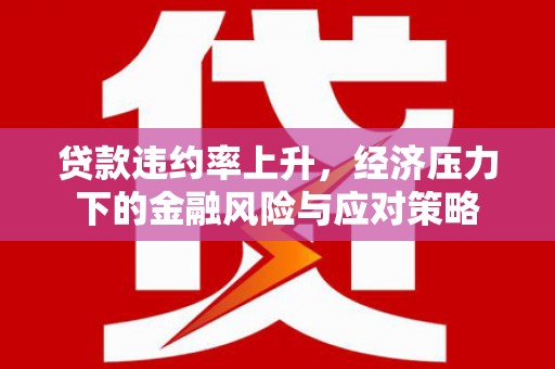 黔东南贷款违约率上升，经济压力下的金融风险与应对策略
