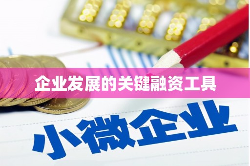 青川企业发展的关键融资工具