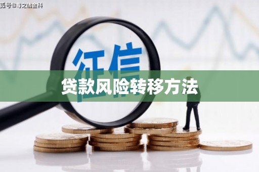 单县贷款风险转移方法