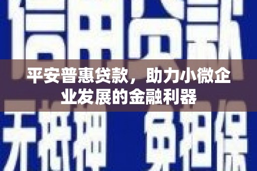龙岗平安普惠贷款，助力小微企业发展的金融利器