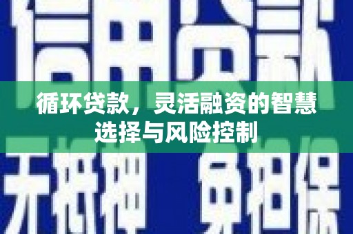 辽源循环贷款，灵活融资的智慧选择与风险控制