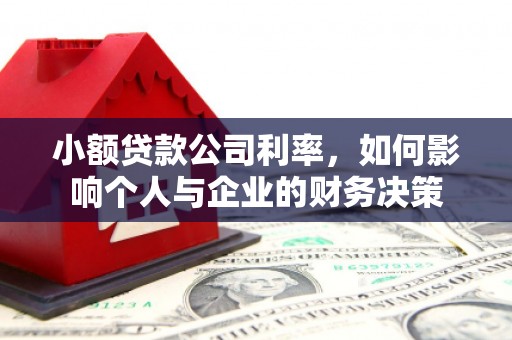 南宫小额贷款公司利率，如何影响个人与企业的财务决策
