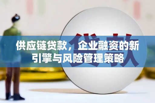 碧江供应链贷款，企业融资的新引擎与风险管理策略