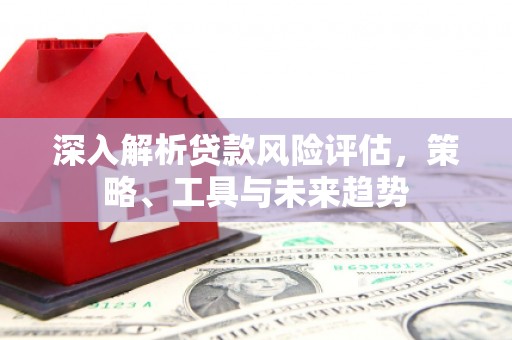 岫岩深入解析贷款风险评估，策略、工具与未来趋势