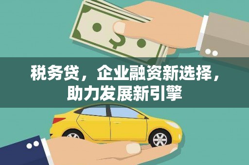 平顶山税务贷，企业融资新选择，助力发展新引擎