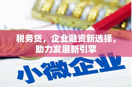 黄大仙税务贷，企业融资新选择，助力发展新引擎