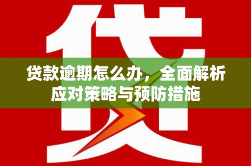 道外贷款逾期怎么办，全面解析应对策略与预防措施