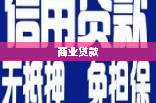 漳县商业贷款
