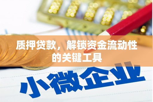 嘉祥质押贷款，解锁资金流动性的关键工具