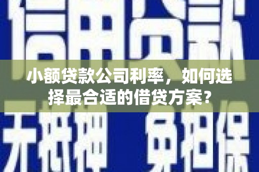 宿城小额贷款公司利率，如何选择最合适的借贷方案？