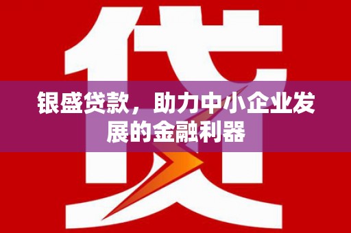 伊犁哈萨克银盛贷款，助力中小企业发展的金融利器