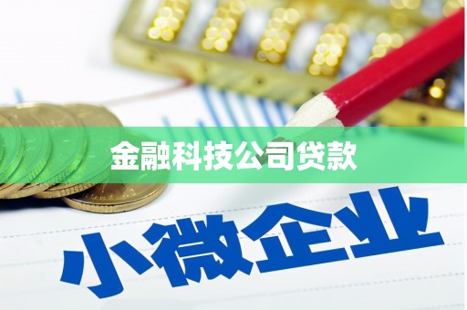 吉县金融科技公司贷款