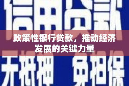 鹿野政策性银行贷款，推动经济发展的关键力量