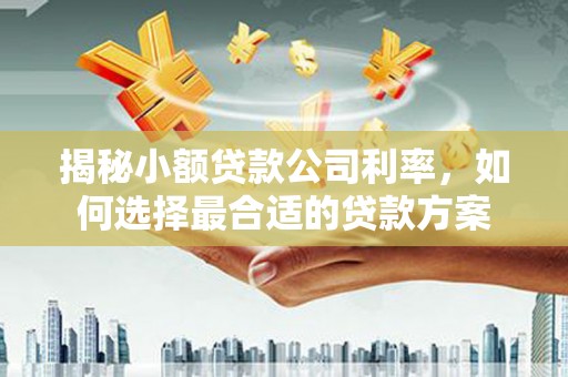 润州揭秘小额贷款公司利率，如何选择最合适的贷款方案