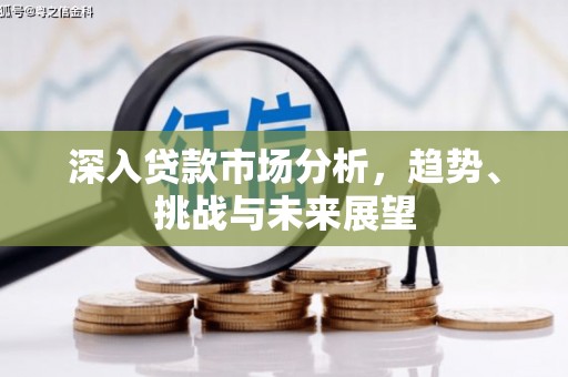 大厂深入贷款市场分析，趋势、挑战与未来展望