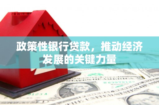 新余政策性银行贷款，推动经济发展的关键力量