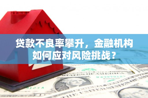 碑林贷款不良率攀升，金融机构如何应对风险挑战？