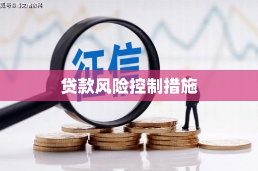 思南贷款风险控制措施